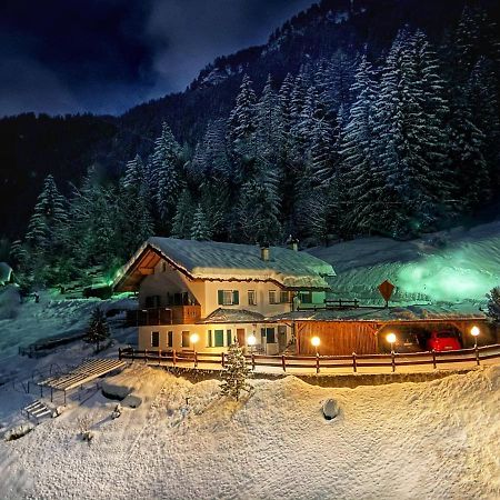 Cesa Vedla - Quite And Cozy Alpine Escape Ortisei Exterior foto