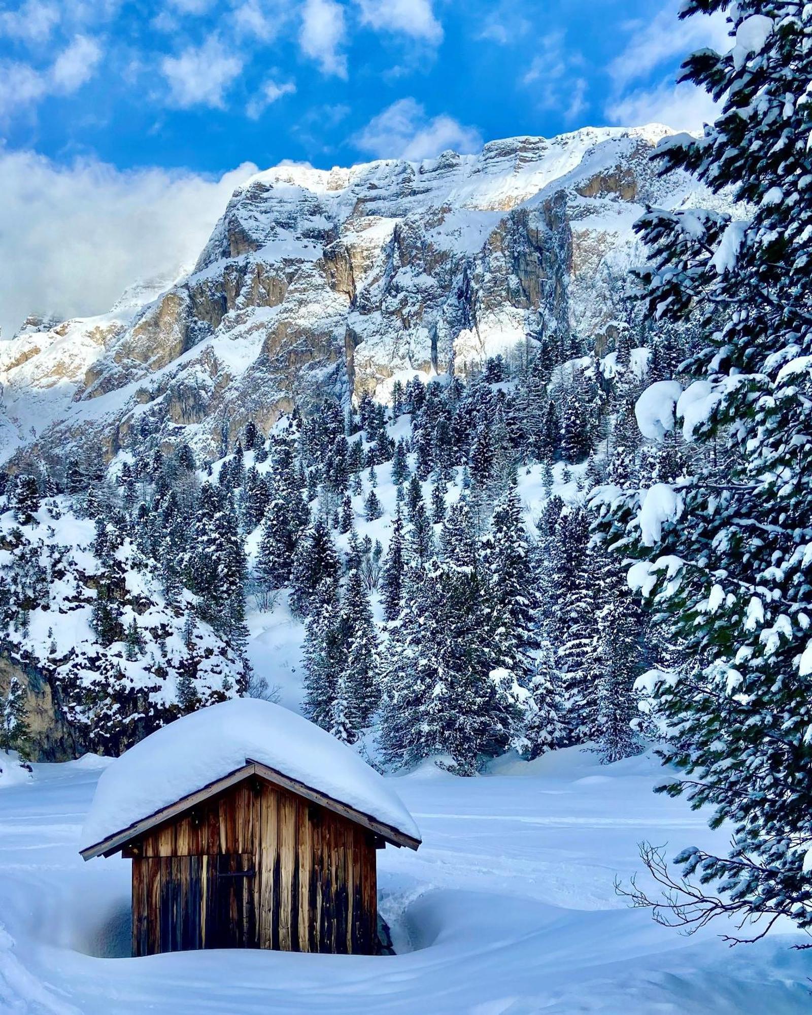 Cesa Vedla - Quite And Cozy Alpine Escape Ortisei Exterior foto